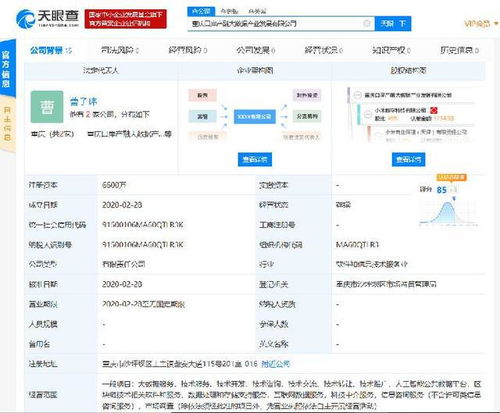 小米落子重慶，成立產融大數據公司，布局區塊鏈與數據處理服務